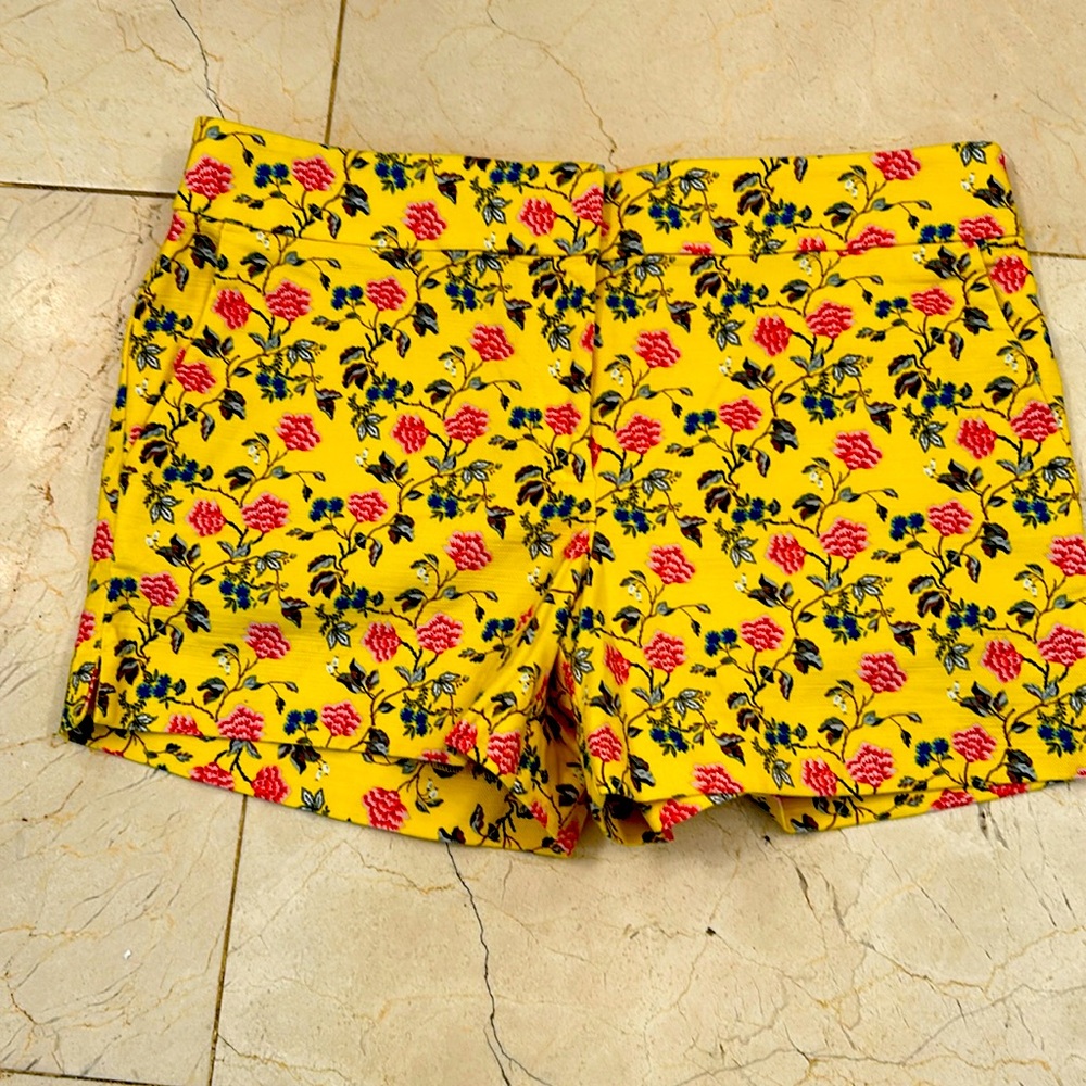 Loft Shorts